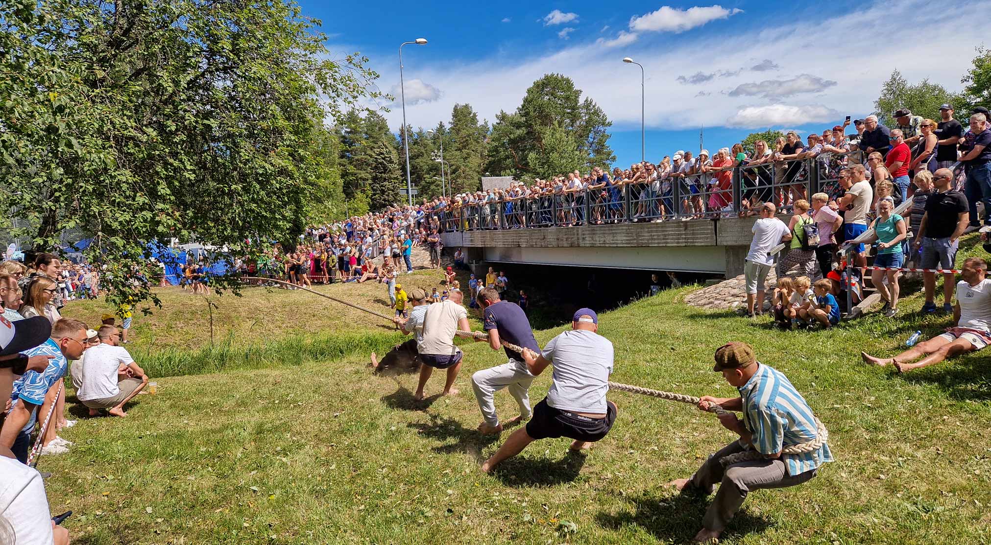 Köievedu Coop ja AleCoq auhindadele
