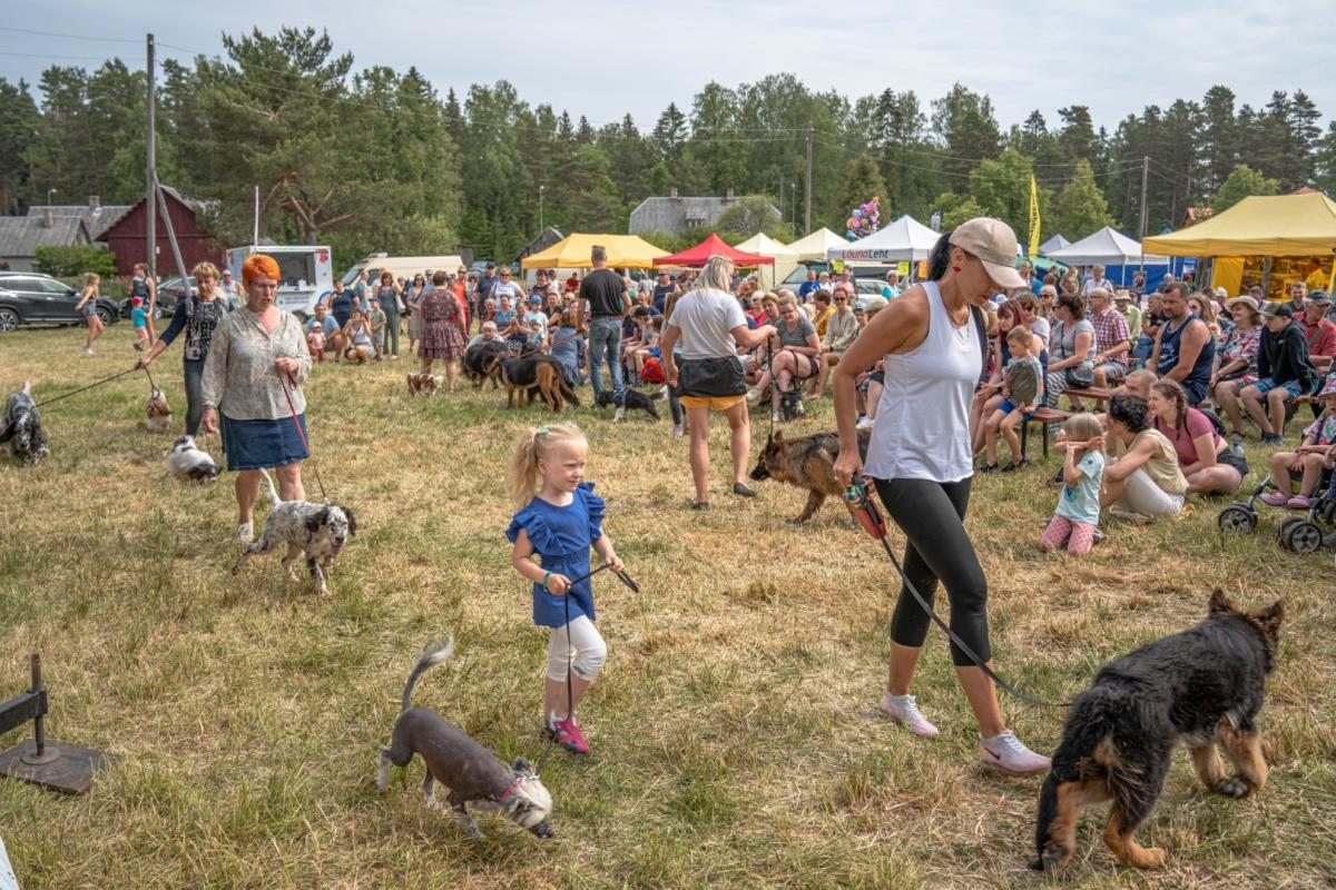 Vastseliina-Maarahva-Laat-9