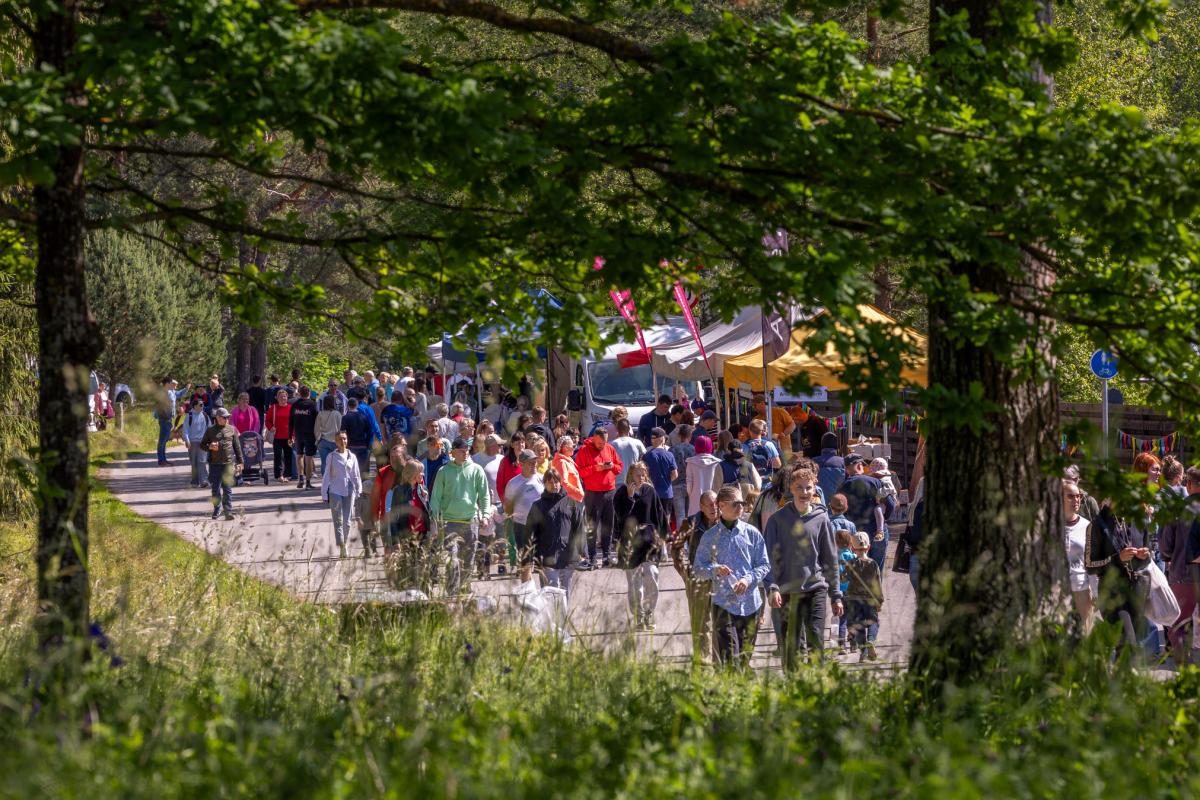 Fotod-Aigar-Nagel-16